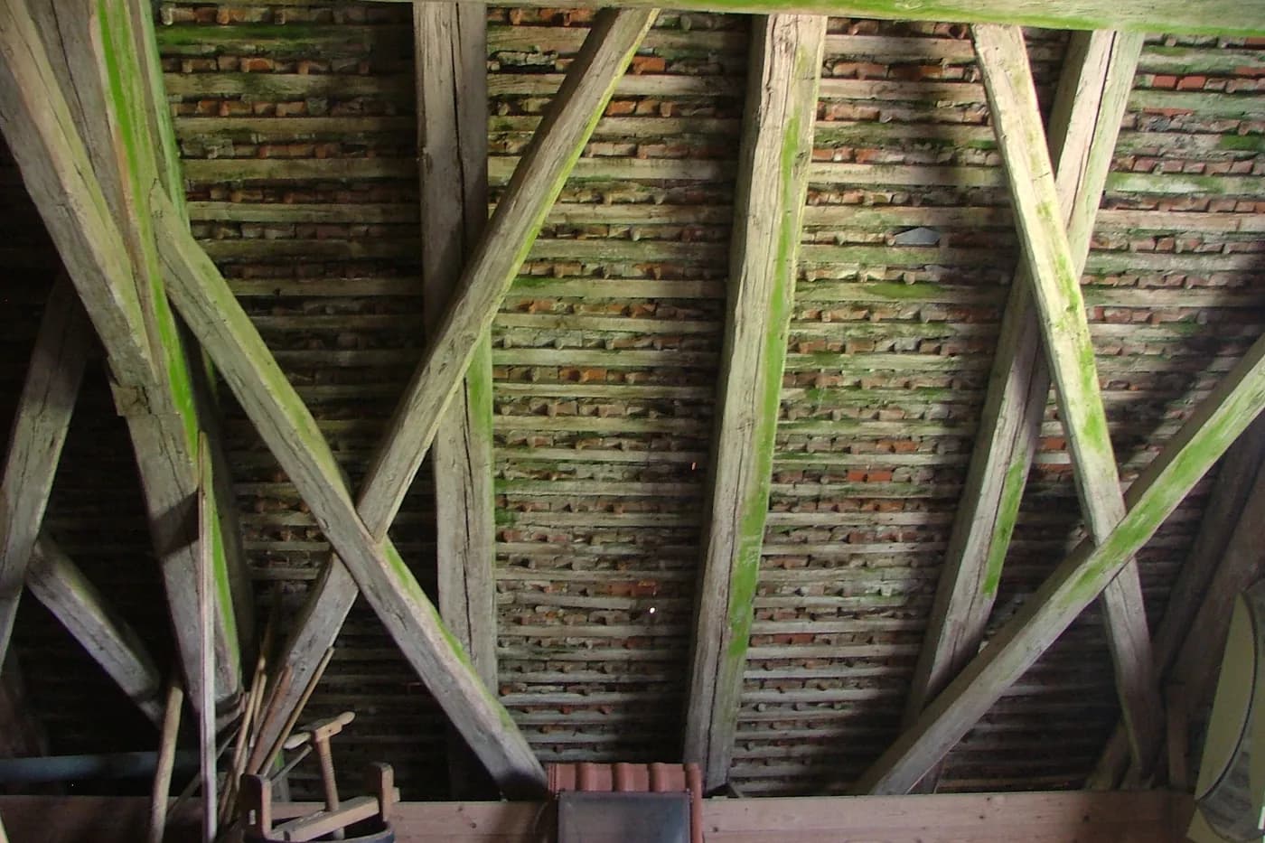 Roof timbers and rafters seen from inside a roof space