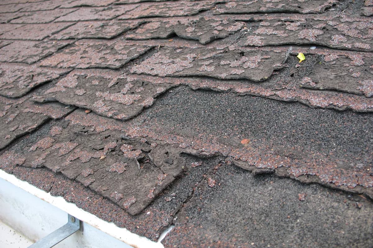 Failed asphalt shingles on a roof where water has been getting through