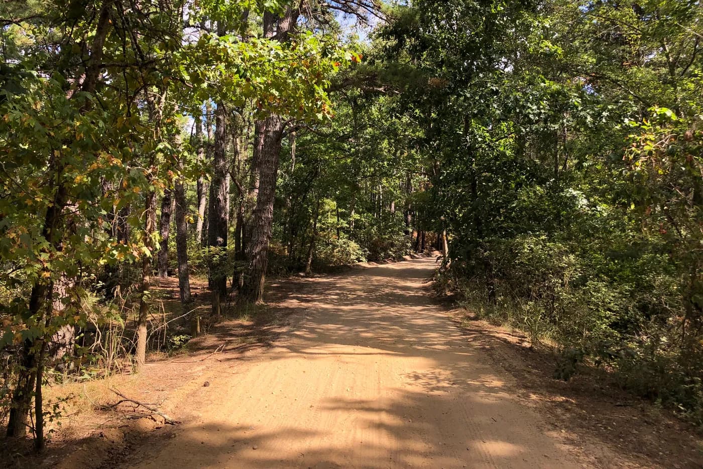 Quaker Bridge Road through Wharton State Forest in Shamong Township, New Jersey