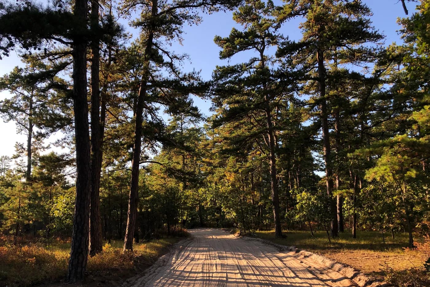 Quaker Bridge Road in Wharton State Forest on the Washington Township border, Burlington County, New Jersey